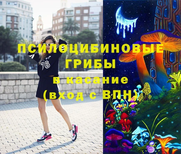 герыч Гусь-Хрустальный