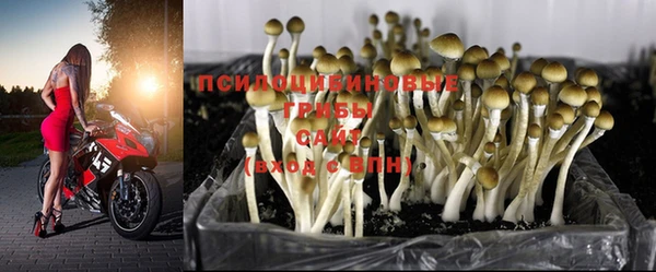 круглые Медногорск