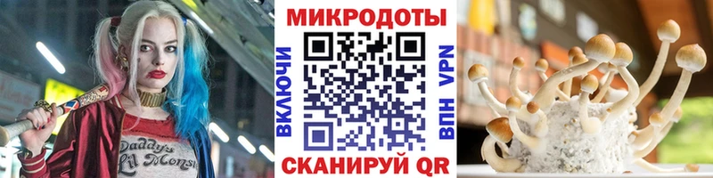 Псилоцибиновые грибы Cubensis  hydra   Няндома  купить наркотики цена 